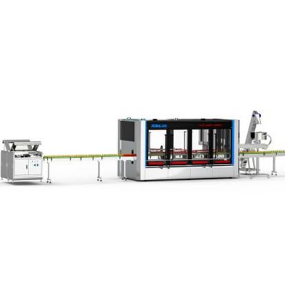 buy EC SC WP Fully Automatic Pesticide Packaging Line For AgrI-chemical Bottle 100ml-1L online manufacture