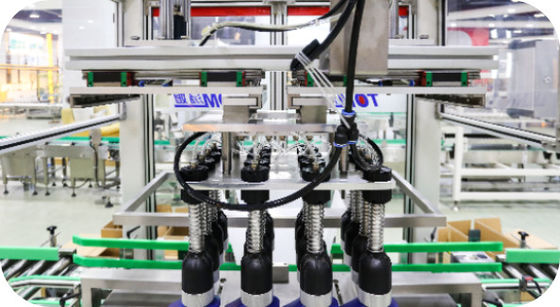 Bottle Chemical Packaging Machine 50-1000ml Carton Packing Machine