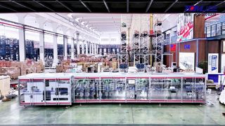 DSJ-300-2 Full Servo Horizontal Roll Film Packaging Machine