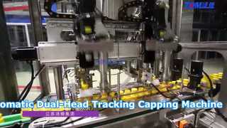 Fully Automatic Dual-Head Tracking Capping Machine